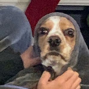 Meet your Posher, Jacob